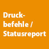 ConfigTool - Comandi di stampa / Rapporto stato (solo tedesco)